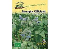 Arcoiris BU052 Sementi