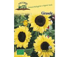 Arcoiris FIO06 Sementi