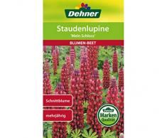 Dehner Blumen-Saatgut, Staudenlupine Mein Schloss, 2 g Sementi, 5er Pack (5 x 2 g)
