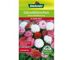 Dehner Blumen-Saatgut, Gänseblümchen Riesen-Ball-Mischung, 0.5 g Sementi, 5er Pack (5 x 0.5 g)