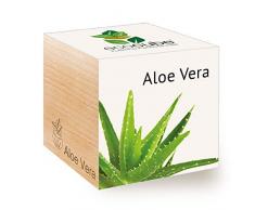 Feel Green Ecocube Aloe Vera Exotics- Kit per coltivare il proprio regalo, sostenibile e insolito (100% ecologico), pianta in un cubo di legno, Made in Austria, Nylon/A.