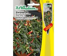 n.l. chrestensen 50027 Fiore sementi, Giallo, 11,5 x 0,5 x 15,6 cm