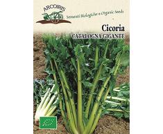 Arcoiris BU010 Sementi