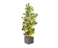 Elho 3.4449E+12 Vaso, Anthracite, 49 x 49 x 49 cm