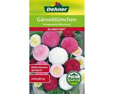 Dehner Blumen-Saatgut, Gänseblümchen Pomponette Mischung, 0.2 g Sementi, 5er Pack (5 x 0.2 g)