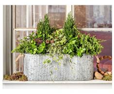 Dehner - Vaso per Piante con Manico, ca. Fioriera in Zinco Argentato, 50 x 20 cm