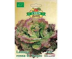 Arcoiris SAP204 Sementi