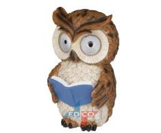 EDCO 871125290542 PR 2 LED Luce Solare Gufo, Multicolore