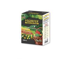 VIGORFER, concime per orti e giardini con guano, kg 1, Vitaverde