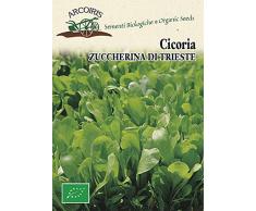 Arcoiris BU035 Sementi