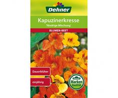 Dehner Blumen-Saatgut, Kapuzinerkresse, Niedrige Mischung, 10 g Sementi, 5er Pack (5 x 10 g)
