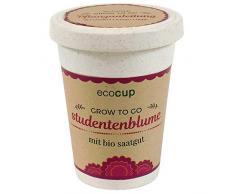 Feel Green Ecocup, Fiore Studente, Certificato Biologico, Idea Regalo sostenibile (100% Eco Friendly), Grow Your Own, Set di Coltivazione di Piante in Tazza di caffè, Made in Austria