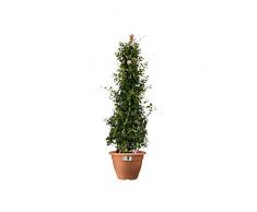 elho Torino Campana Vaso da giardino 35cm - Terra