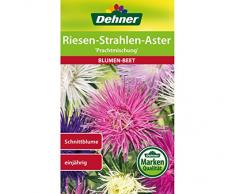 Dehner Blumen-Saatgut, Riesen-Strahlen-Aster Prachtmischung, 0.9 g Sementi, 5er Pack (5 x 0.9 g)