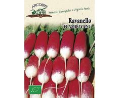 Arcoiris BU057 Sementi