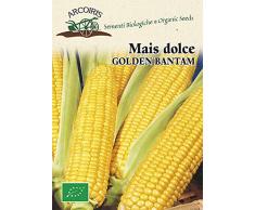 Arcoiris BU041 Sementi