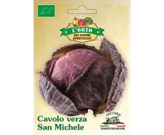 Arcoiris SAP237 Sementi