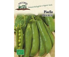 Arcoiris BU026 Sementi