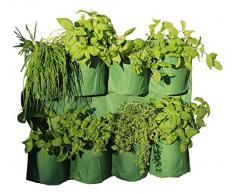 Haxnicks Plantter300101 - Vaso per Piante in Vetro, da Parete, 25 x 30 x 150 cm, Colore: Verde