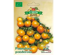 Arcoiris SAP215 Sementi