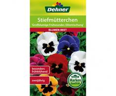 Dehner Blumen-Saatgut, Stiefmütterchen Großblumige Frühwunder, Elitemischung, 0.5 g Sementi, 5er Pack (5 x 0.5 g)