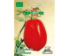 Arcoiris SAP226 Sementi