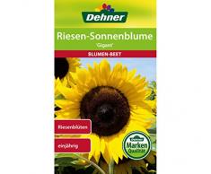 Dehner Blumen-Saatgut, Riesen Sonnenblume Gigant, 4 g Sementi, 5er Pack (5 x 4 g)