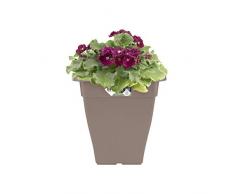 elho Torino Campana Square High Vaso da giardino 32cm - Taupe