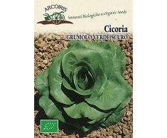 Arcoiris BU011 Sementi