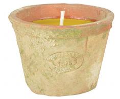 Fallen Fruits FF254 Candela CITRONELLA, Arancione