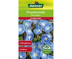 Dehner Blumen-Saatgut, Prunkwinde Himmelblau, 2.5 g Sementi, 5er Pack (5 x 2.5 g)