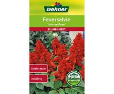 Dehner Blumen-Saatgut, Feuersalvie Johannisfeuer, 0.5 g Sementi, 5er Pack (5 x 0.5 g)