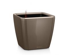 Lechuza Quadro LS 21 Completo, Tortora Lucido