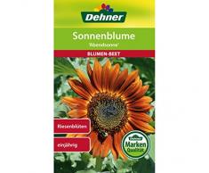 Dehner Blumen-Saatgut, Sonnenblume Abendsonne, 4 g Sementi, 5er Pack (5 x 4 g)