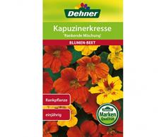 Dehner Blumen-Saatgut, Kapuzinerkresse Rankende Mischung, 6 g Sementi, 5er Pack (5 x 6 g)