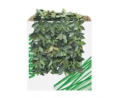 Verdemax 5635 50 x 50 cm Verdecor siepe con foglie like Photinia