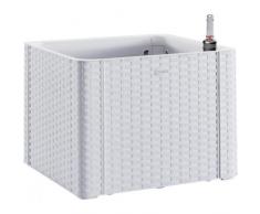 Stefanplast 2075938 Indicatore Vaso di Fiori Naturali Bianche 43 x 43 x 33 cm