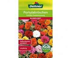 Dehner Blumen-Saatgut, Portulakröschen, Gefüllte Prachtmischung, 0.7 g Sementi, 5er Pack (5 x 0.7 g)