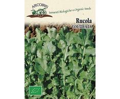 Arcoiris BU031 Sementi