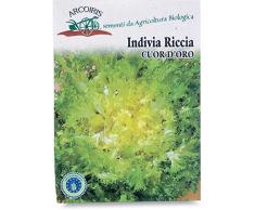 Arcoiris BU039 Sementi