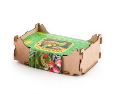 Radis et Capucine – Cassetta in legno con organico semi di ravanelli e insalata Rocket