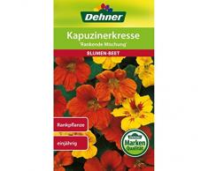 Dehner Blumen-Saatgut, Kapuzinerkresse, Rankende Mischung, 10 g Sementi, 5 x 10 g