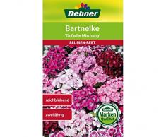 Dehner Blumen-Saatgut, Bartnelke, Einfache Mischung, 1.3 g Sementi, 5er Pack (5 x 1.3 g)