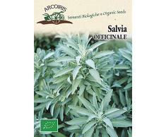 Arcoiris BU042 Sementi