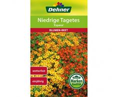 Dehner Blumen-Saatgut, Niedrige Tagetes Espana, 1 g Sementi, 5er Pack (5 x 1 g)