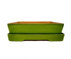 Herstera 11301230 - Vaso per bonsai, 30 x 22 x 7 cm, Verde (Lime)