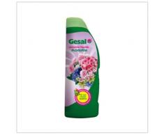 GESAL 2676302005 Concime per Acidofile, 1 l, Verde, 26.5x7x8.9 cm