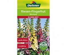 Dehner Blumen-Saatgut, Riesen-Fingerhut, Mischung, 0.8 g Sementi, 5er Pack (5 x 0.8 g)