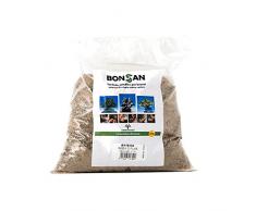 Crespi Bonsai A518/04 Terra Sabbia, Marrone, 18x6x28 cm