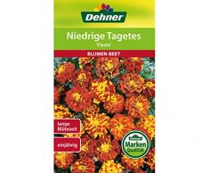 Dehner Blumen-Saatgut, Niedrige Tagetes Fiesta, 1.3 g Sementi, 5er Pack (5 x 1.3 g)